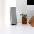 Claude Now Handles Passwords With Your Approval